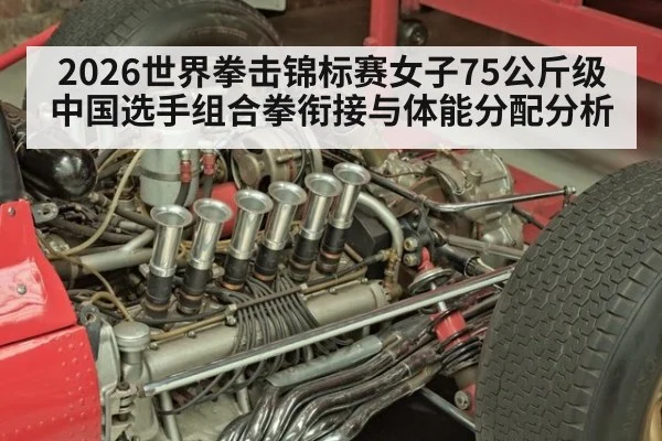 2026世界拳击锦标赛女子75公斤级中国选手组合拳衔接与体能分配分析